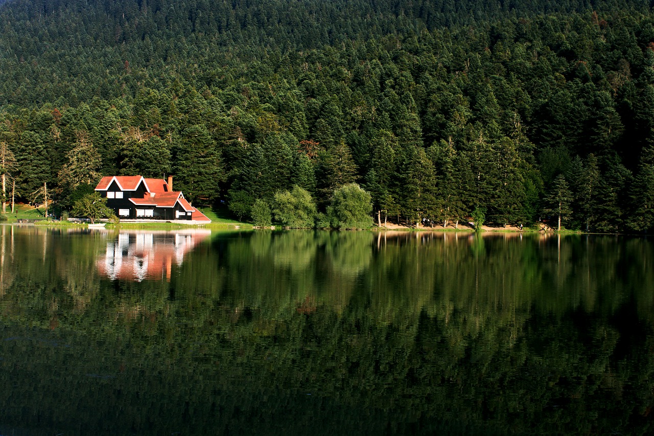 Atspindys, Ežeras, Bolu, Kraštovaizdis, Turkija, Tvenkinys, Miškas, Nemokamos Nuotraukos,  Nemokama Licenzija