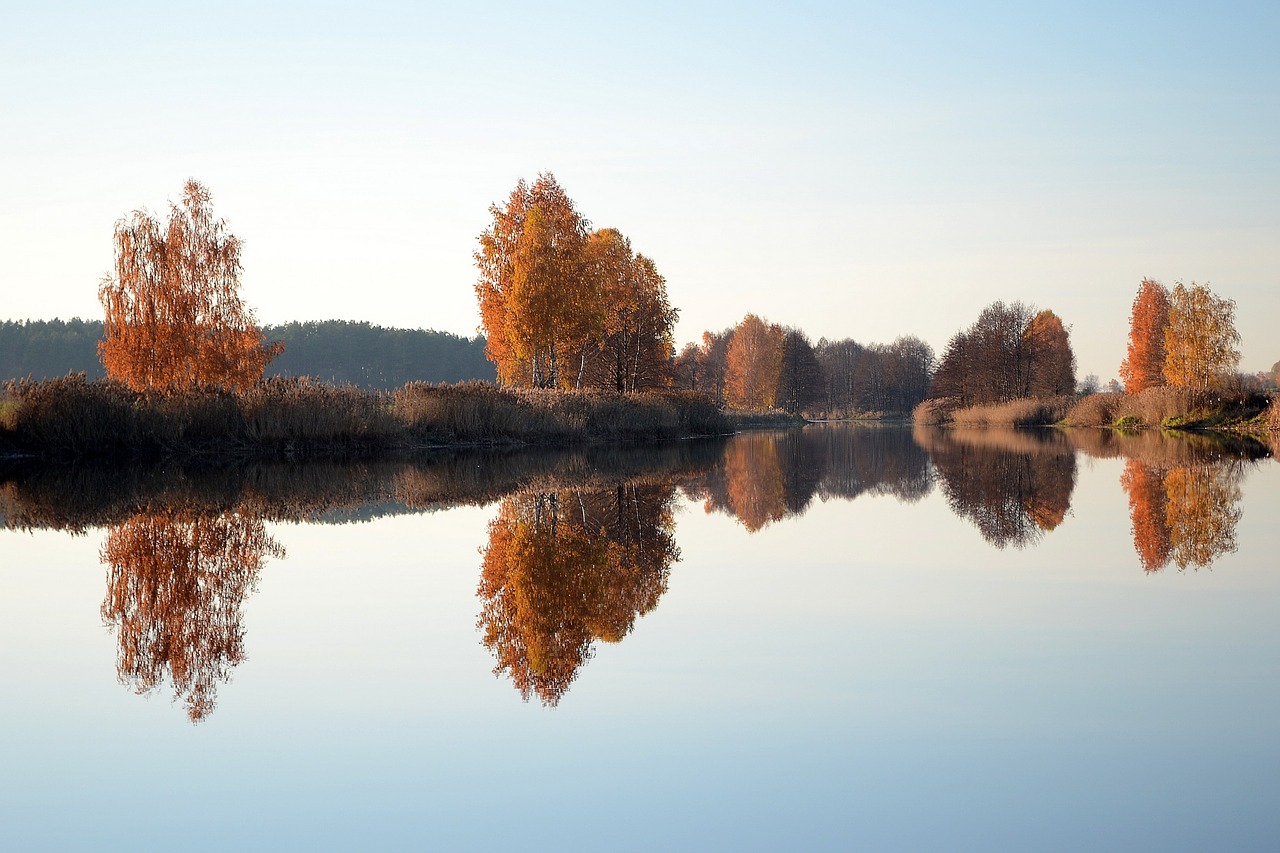 , Nemokamos Nuotraukos,  Nemokama Licenzija