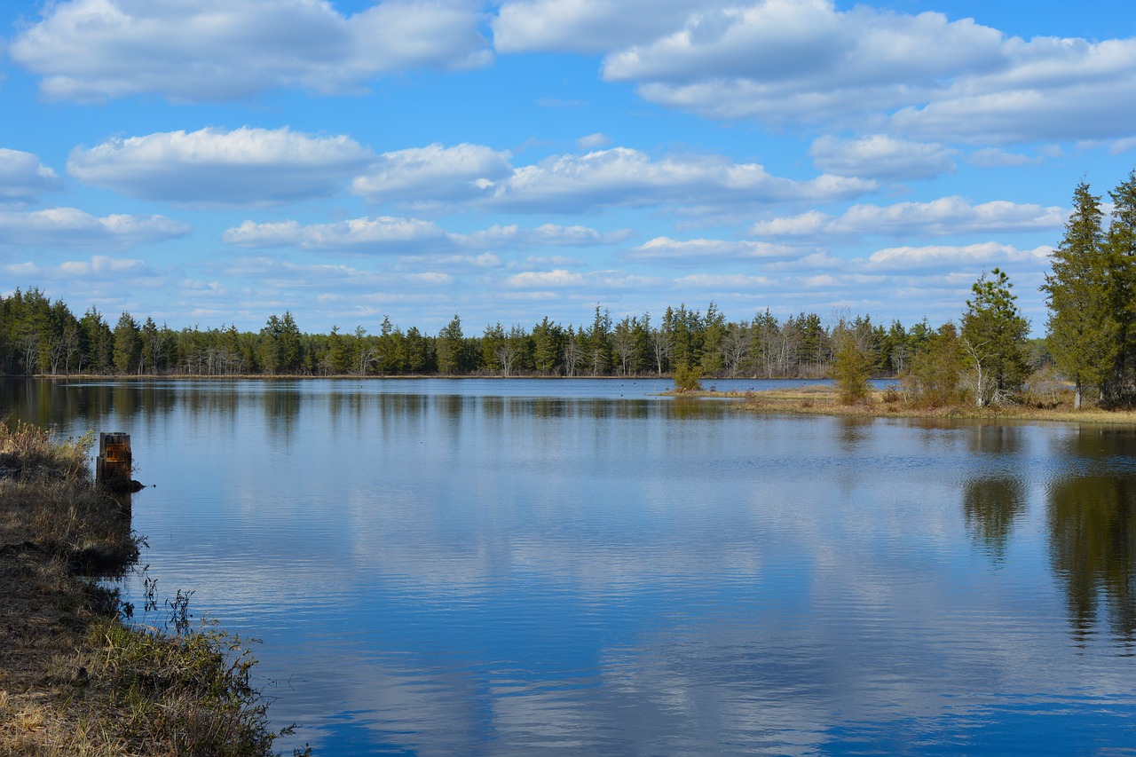 Atspindys,  Ežeras,  Vandens,  Pobūdį,  Upė,  Lauke,  Medis,  Kraštovaizdis,  Vaizdingas,  Lakeside