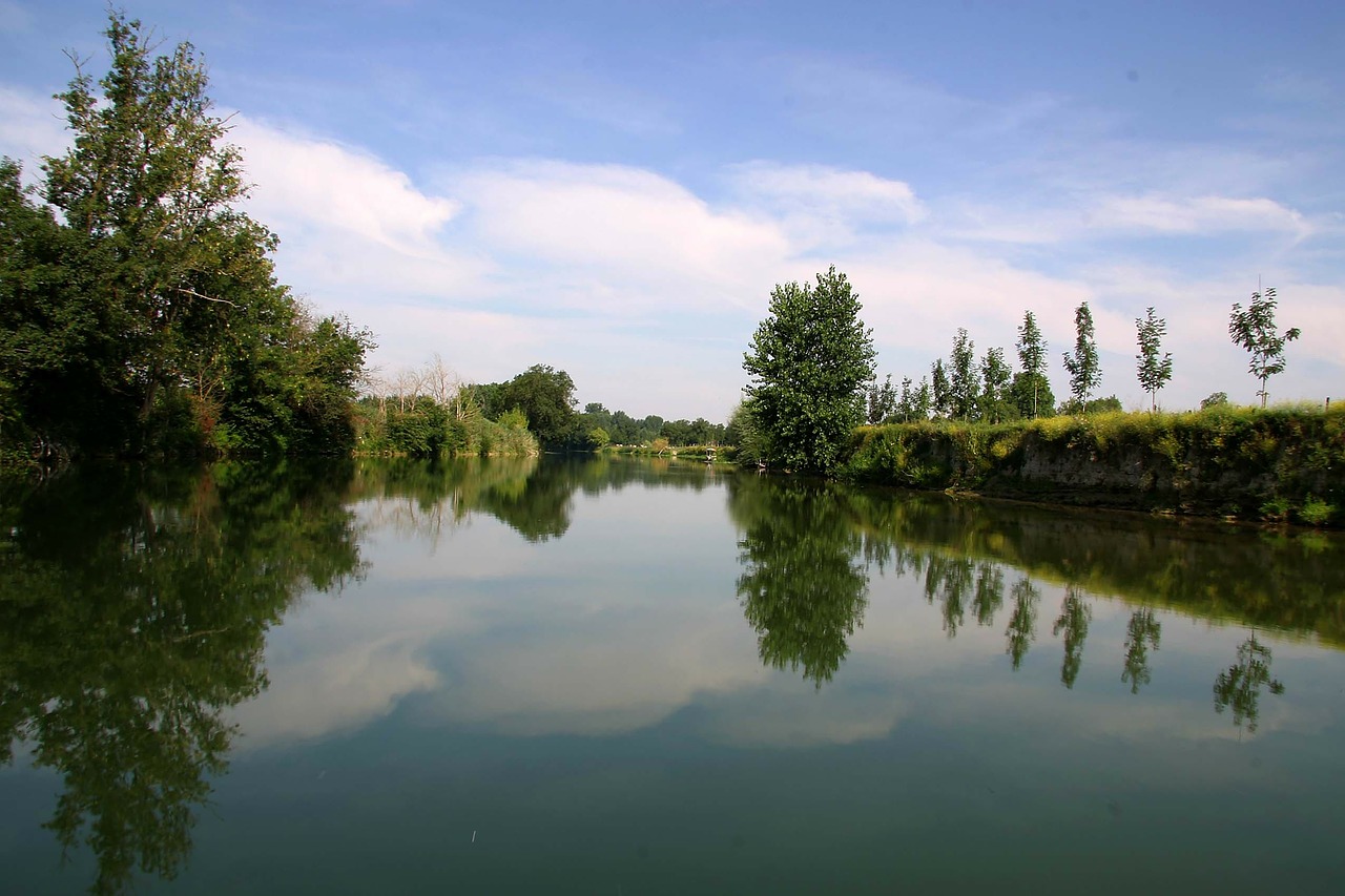 Apmąstymai, Medžiai, Upė, Veidrodis, Vanduo, Charente, Nemokamos Nuotraukos,  Nemokama Licenzija