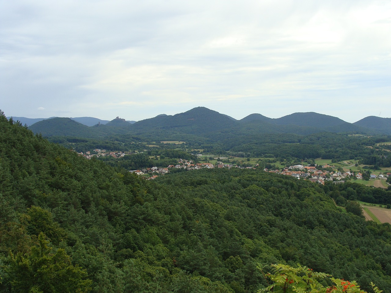 Rehberg,  Pomidorų Miškas,  Kalnas,  Kalnas,  Kaimas,  Miestas,  Miškas,  Medžiai,  Vaizdas,  Gamta