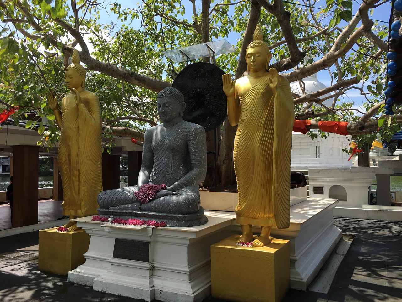 Religija, Statula, Skulptūra, Buda, Medis, Colombo, Šri Lanka, Šventykla, Zen, Ežeras