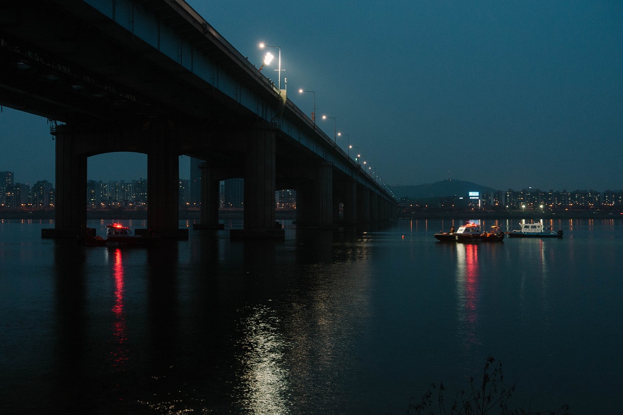 Korėjos Respublika, Seulas, Upė, Han Upė, Tiltas, Hangang Tiltas, Kraštovaizdis, Naktis, Naktinis Vaizdas, Nemokamos Nuotraukos