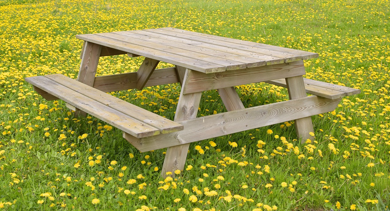 Poilsio Vieta,  Kiaulpienė,  Meadow,  Žolė,  Pobūdį,  Mediena,  Pavasaris,  Kraštovaizdis,  Vokietija, Nemokamos Nuotraukos