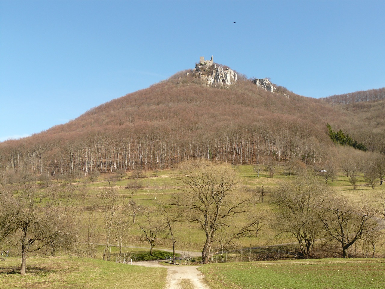 Reußenstein, Pilis, Sugadinti, Riterio Pilis, Pastatas, Žygis, Daugiau, Migracijos Tikslas, Swabian Alb, Neillingen