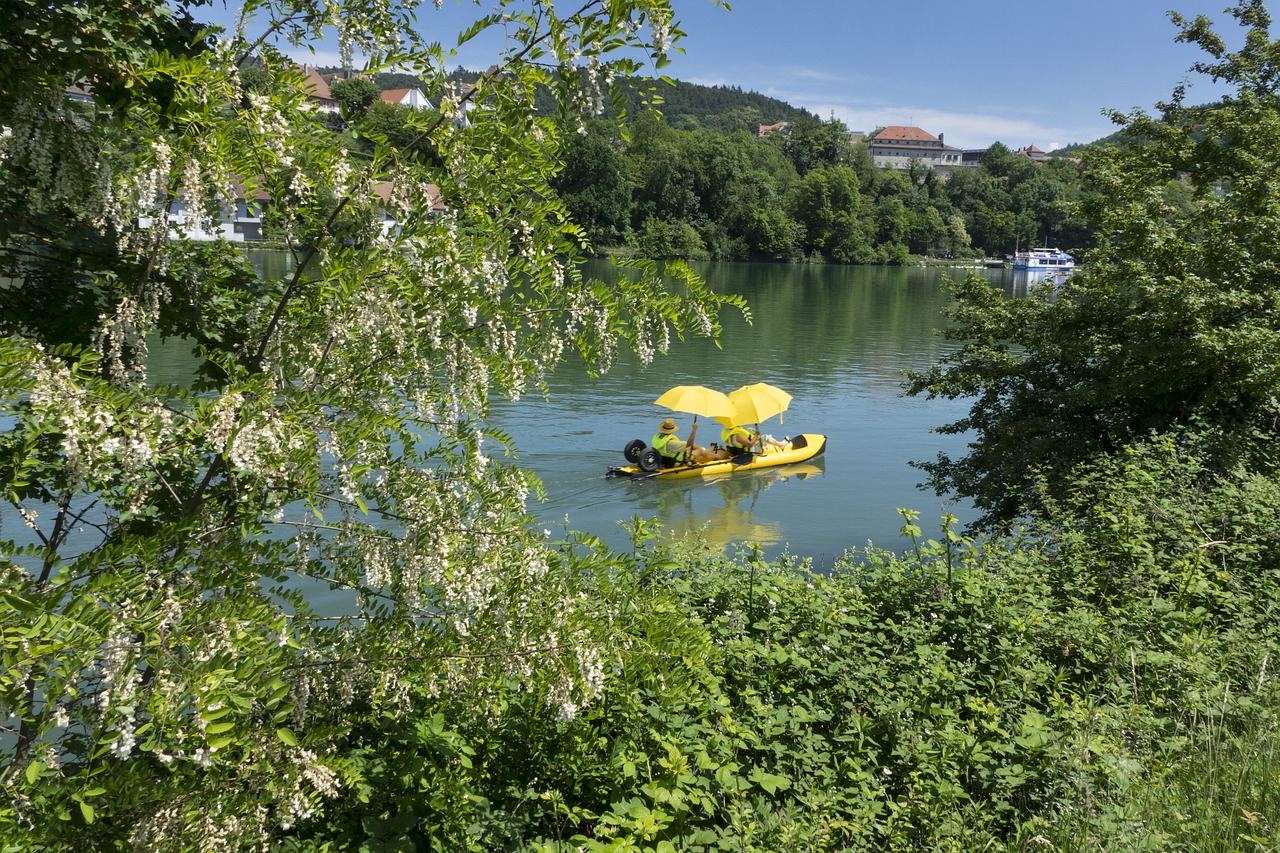 Reino,  Valtis,  Vandens,  Pedalas Valtis,  Skėtis,  Gumos Įkrovos, Nemokamos Nuotraukos,  Nemokama Licenzija