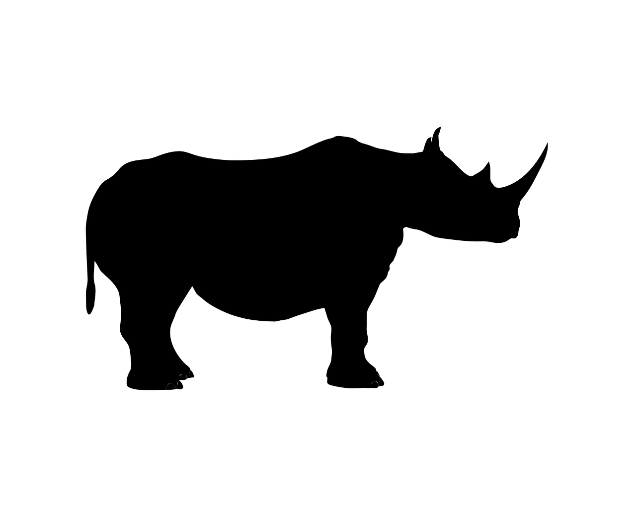 Rhino, Gyvūnas, Laukiniai, Piktograma, Dizainas, Laukinė Gamta, Zoologijos Sodas, Safari, Afrikos, Nustatyti