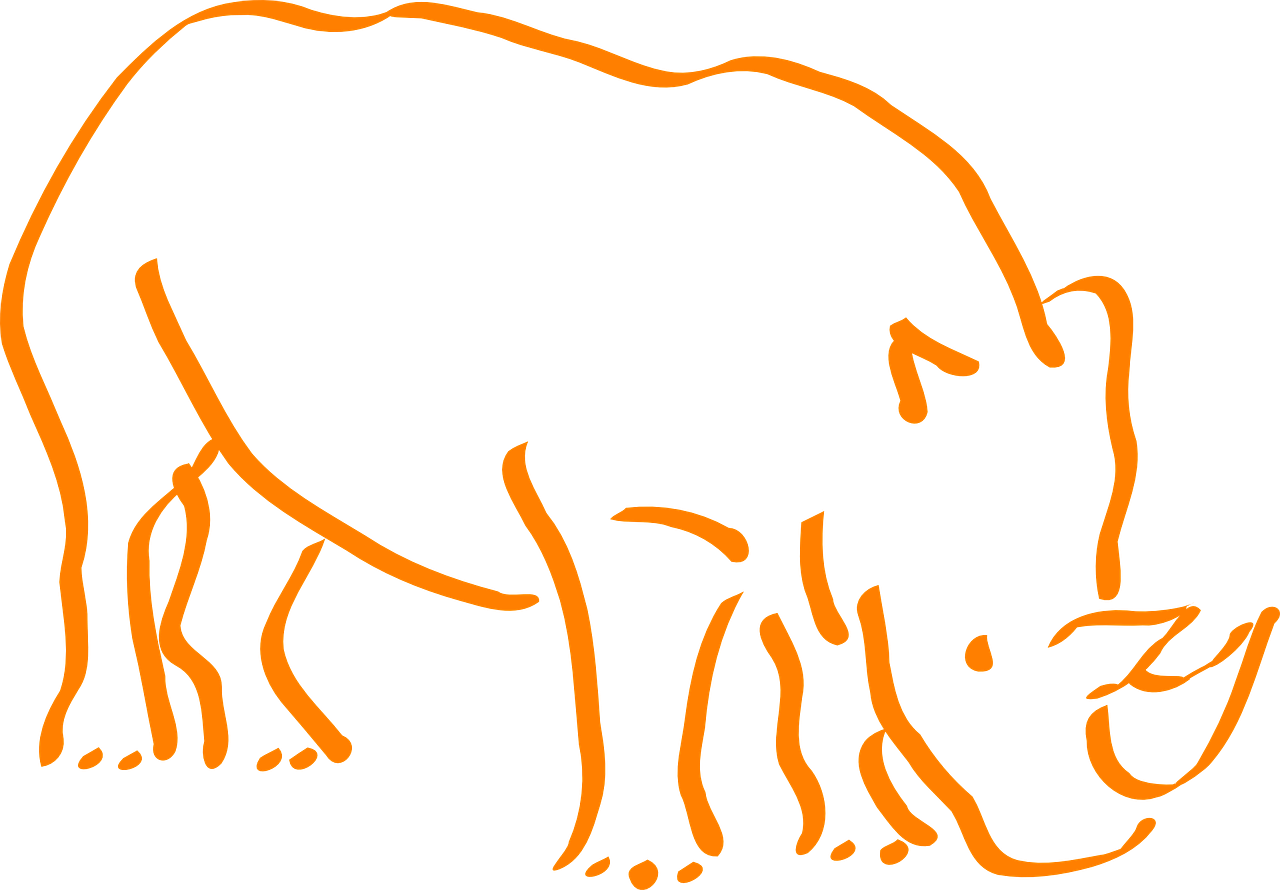 Rhino, Raganos, Laukinė Gamta, Laukiniai, Dviejų Ragų, Bihorned, Afrika, Gyvūnas, Žinduolis, Afrikos