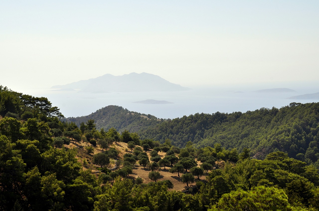 Rhodes, Šalis, Alyvmedžiai, Medžiai, Gamta, Nemokamos Nuotraukos,  Nemokama Licenzija