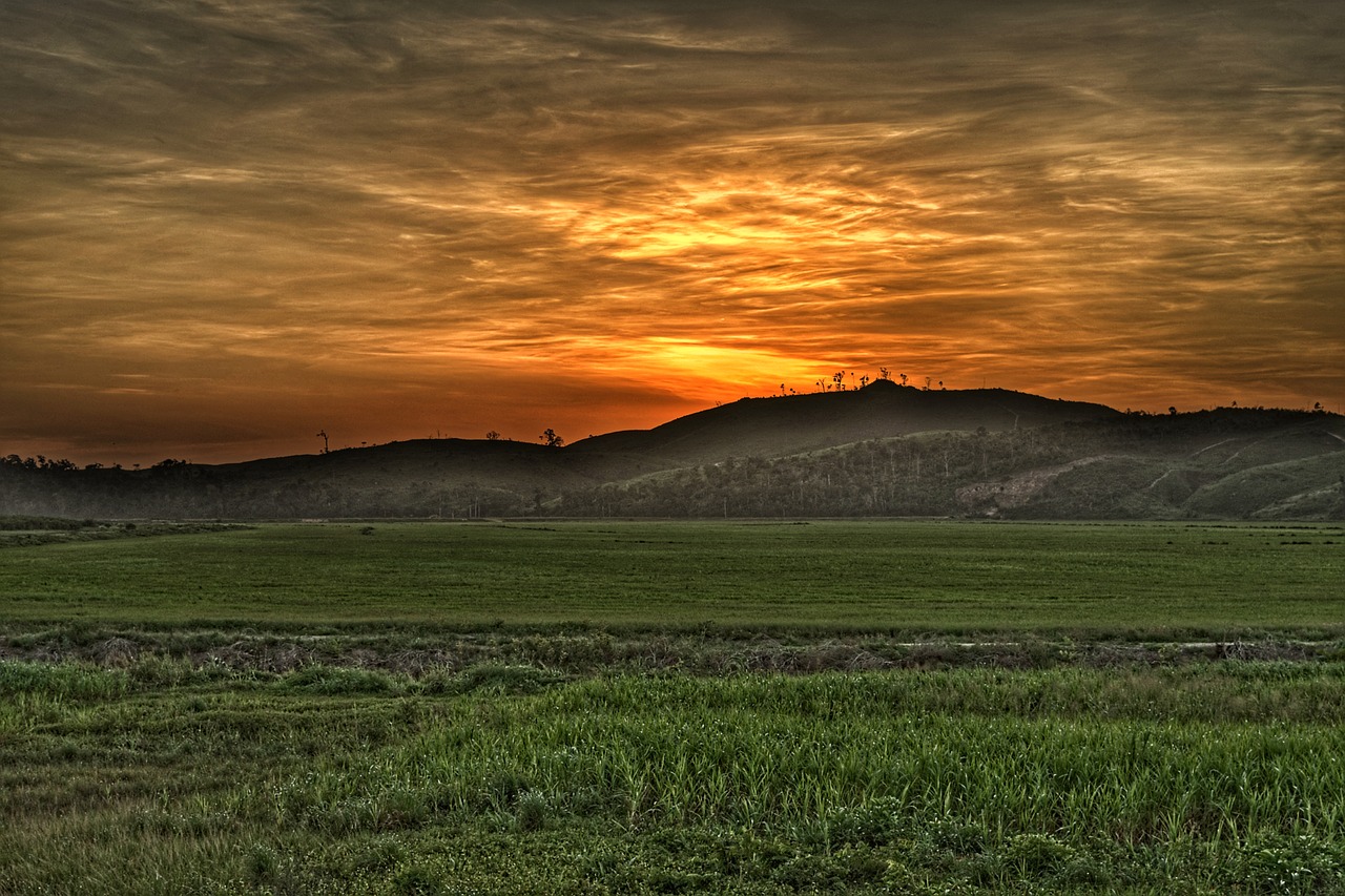 Ryžių Laukas,  Kalnų,  Kraštovaizdis,  Natūralus,  Ryžių,  Žemdirbystė,  Laukas,  Peizažas,  Debesys,  Dangus