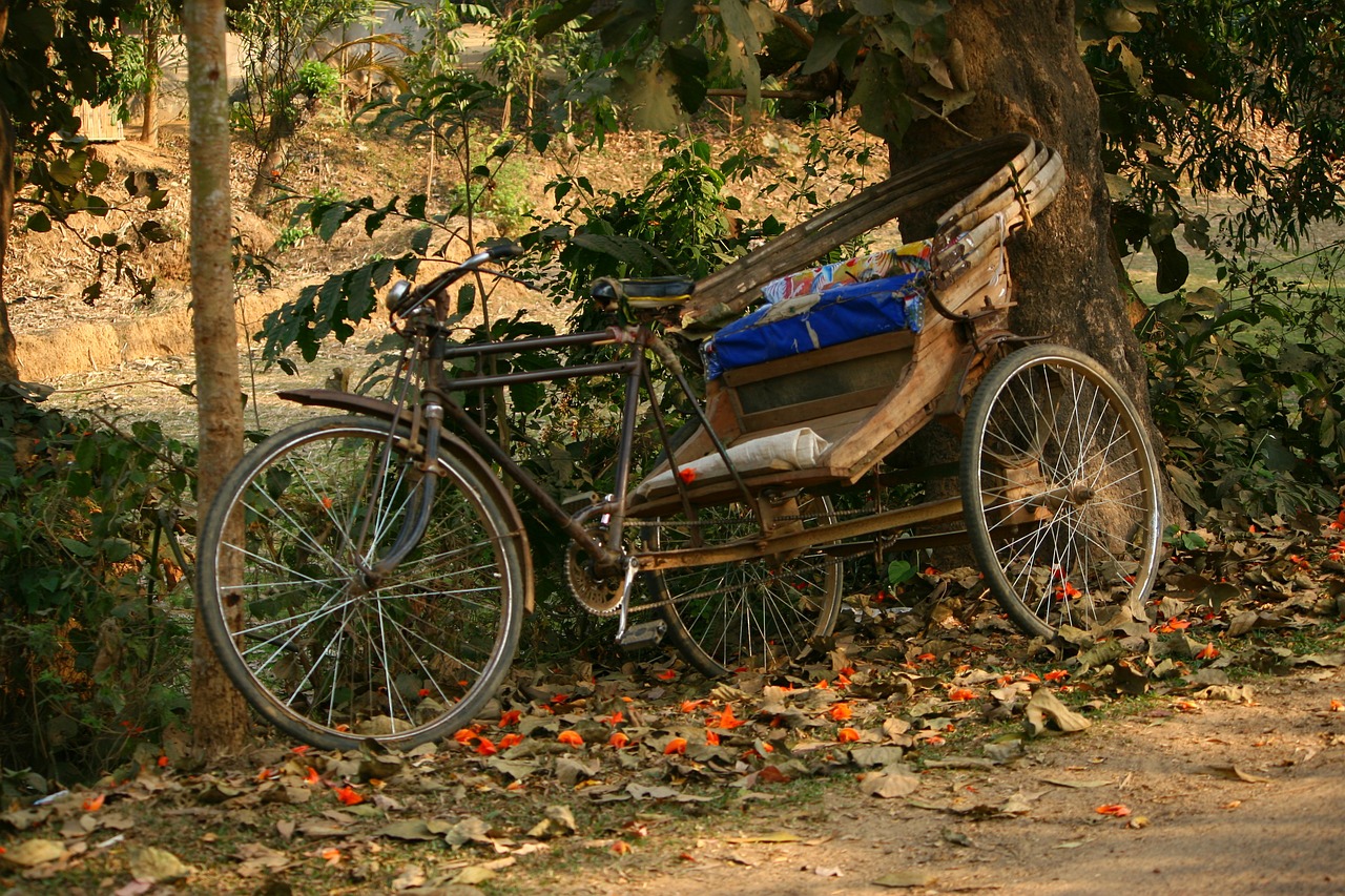 Rickshaw, Poilsis, Bangladešas, Transportas, Kultūra, Taksi, Ciklą, Asija, Gatvė, Gabenimas