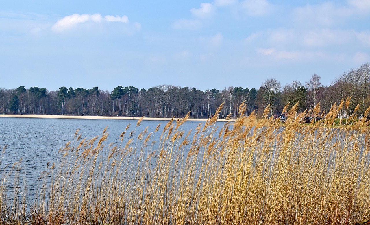 Riddagshausen,  Išsaugojimas,  Pobūdį,  Vandenys,  Kraštovaizdis,  Dangus, Nemokamos Nuotraukos,  Nemokama Licenzija