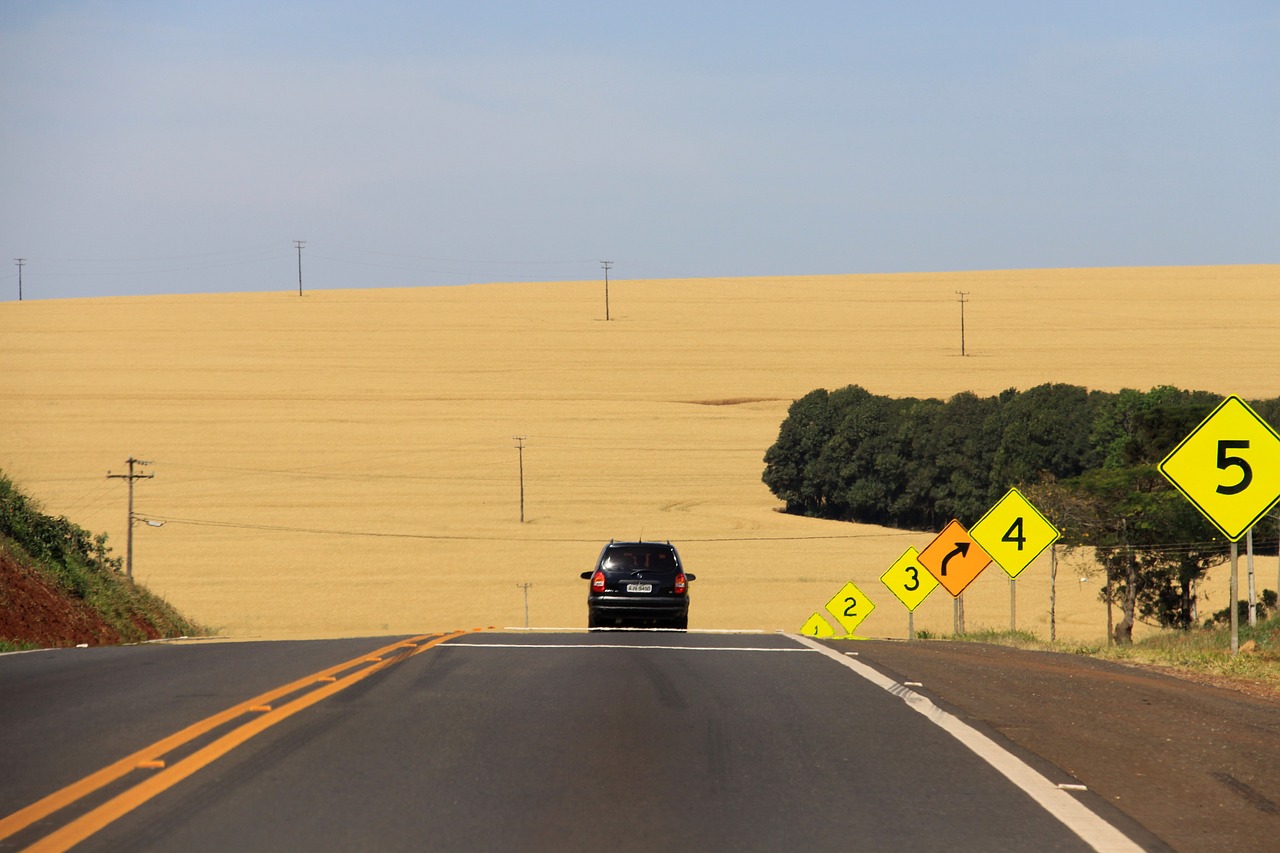 Važiuoti, Automobilis, Kelias, Kelias, Asfaltas, Paraná, Plantacija, Geltona, Kvieciai, Laukai