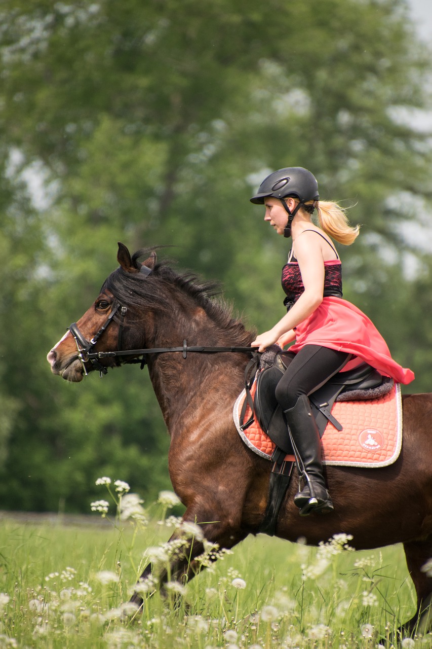 Važiuoti,  Baltos Spalvos,  Šuoliais,  Gyvūnas,  Arklys,  Reiter,  Suknelė,  Balnas,  Pony,  Mergina