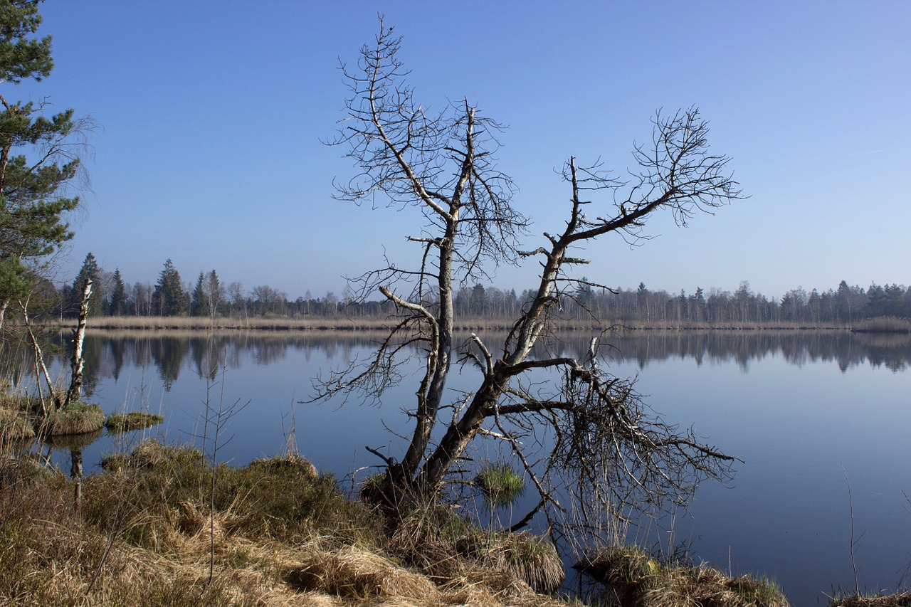 Riedsee, Kiauras, Wurzacher Ried, Vandenys, Gamtos Rezervatas, Pelkės, Poilsis, Kraštovaizdis, Gamta, Nemokamos Nuotraukos