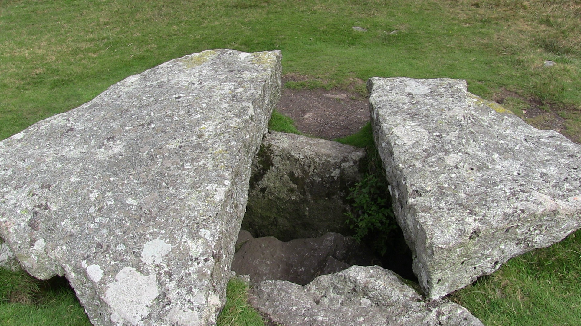 Žiedas & Nbsp,  Kiaulytė,  Merrivale,  Akmuo & Nbsp,  Eilutės,  Dartmoor,  Žiedinis Pūdymasis Merriuvoje,  Dartmoor, Nemokamos Nuotraukos,  Nemokama Licenzija