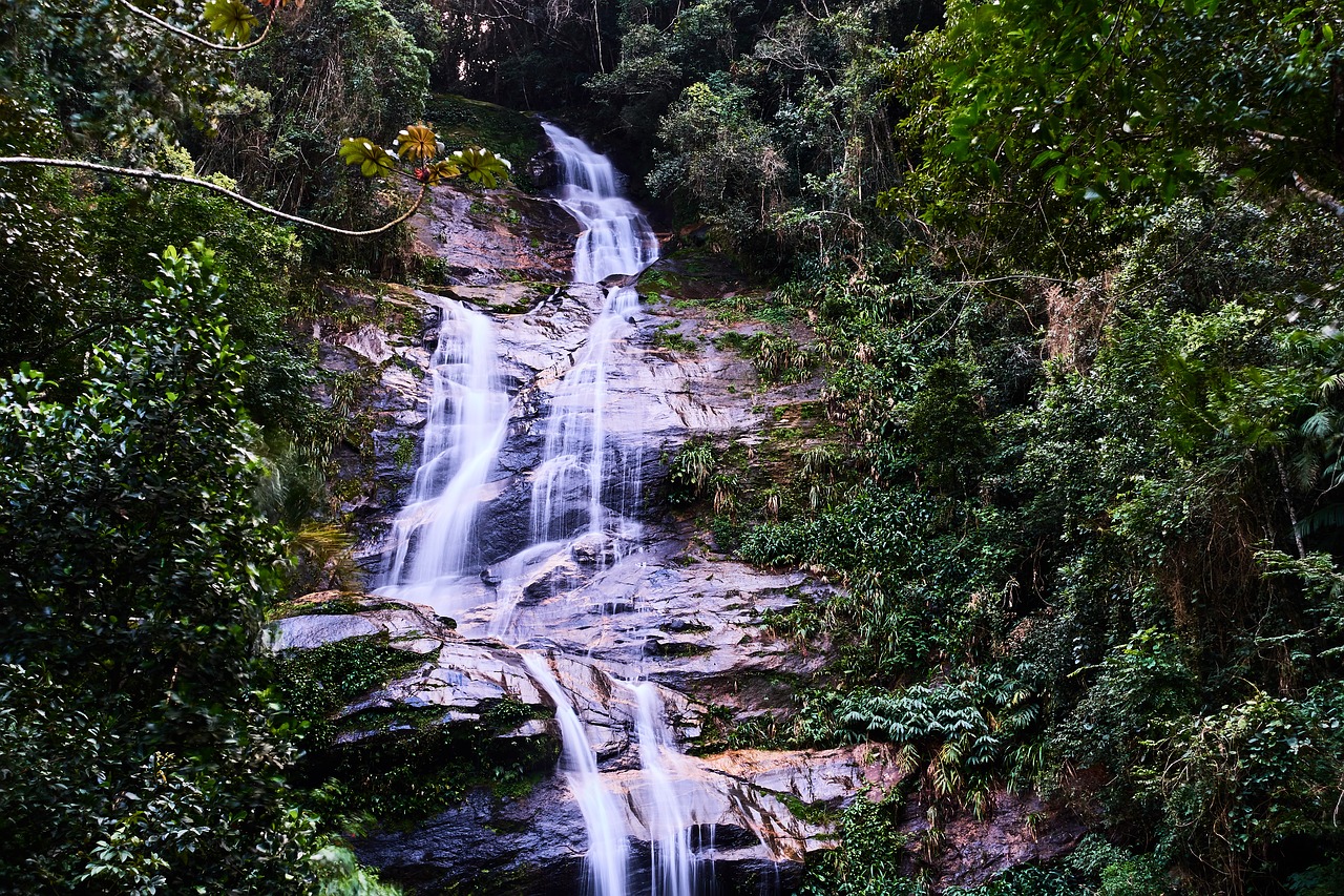 Rio De Žaneiras,  Brazilija,  Atogrąžų Miškai,  Krioklys,  Tropical,  Žalias,  Miškas,  Upė,  Nacionalinis Parkas, Nemokamos Nuotraukos