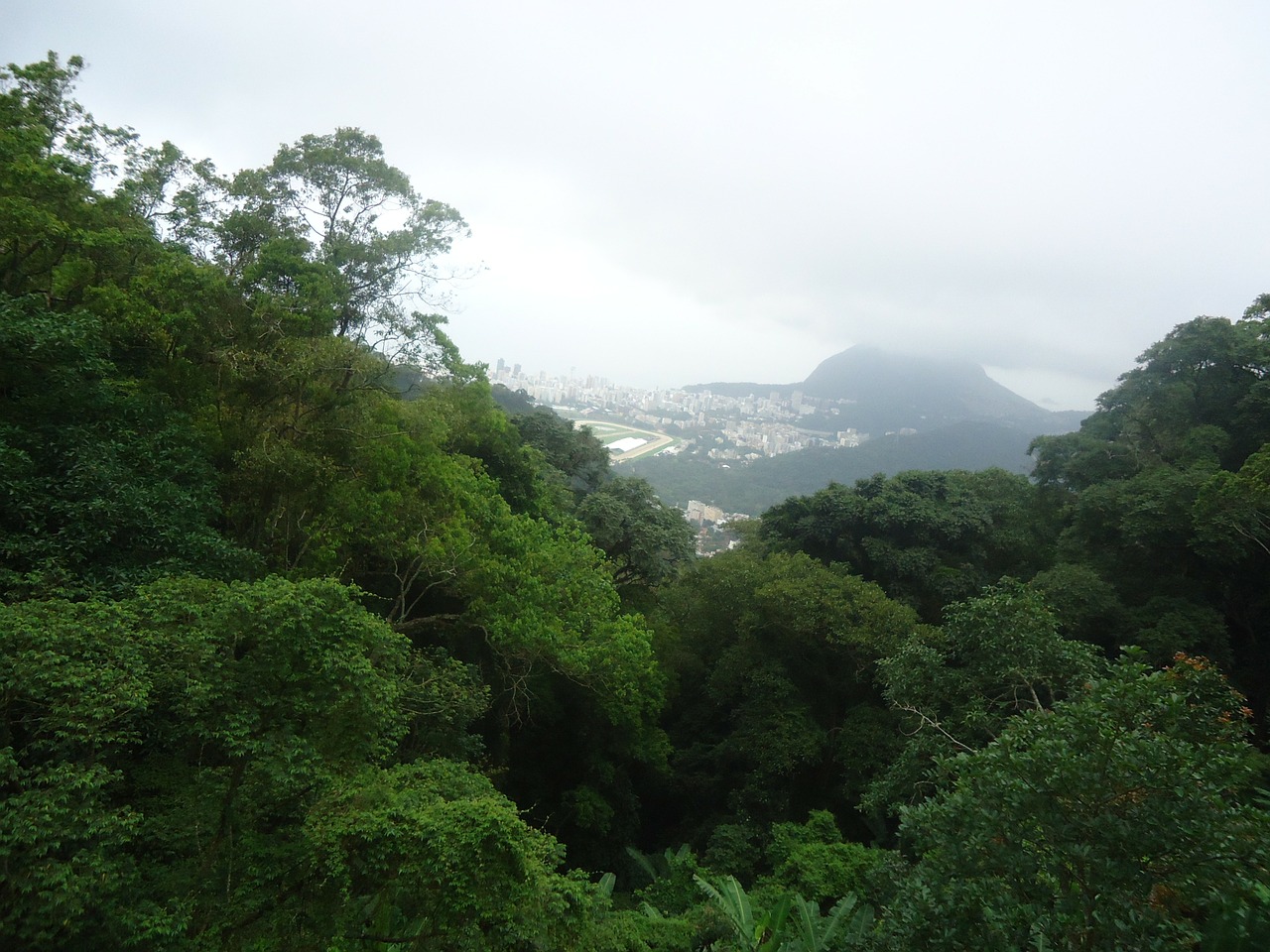 Rio De Janeiro Žalia, Corcovado, Brazilija , Royalty Free, Nemokamos Nuotraukos,  Nemokama Licenzija