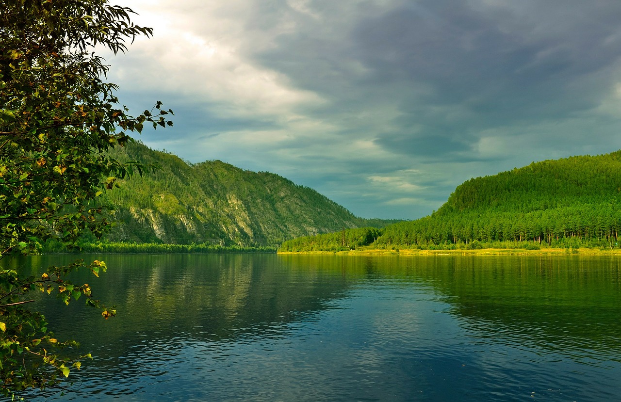 Upė, Krantas, Medžiai, Filialai, Lapai, Žolė, Vanduo, Ežeras, Atspindys, Akmenys