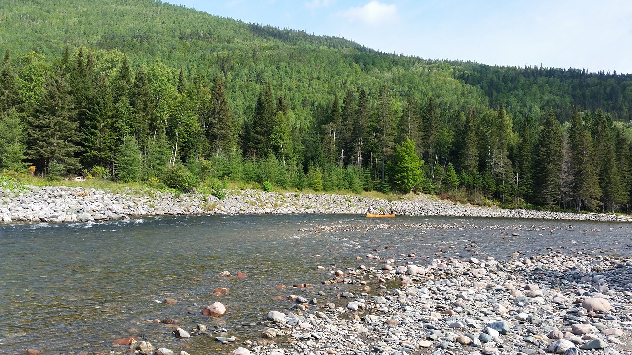 Upė, Gamta, Baidarėmis, Kanados Upė, Nemokamos Nuotraukos,  Nemokama Licenzija
