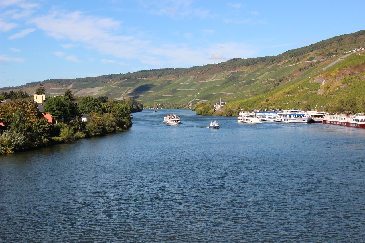 Upė, Vynuogynai, Mosel, Upės Kraštovaizdis, Bernkastel, Sachsen, Nuotaika, Nemokamos Nuotraukos,  Nemokama Licenzija