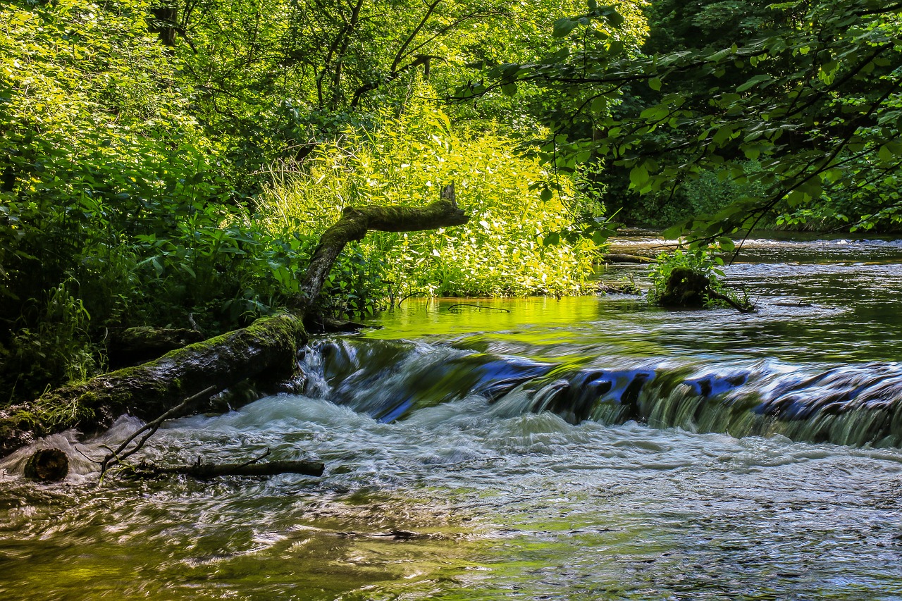 Upė, Kaskados, Vanduo, Gamta, Miškas, Kraštovaizdis, Srautas, Akmenys, Torrent, Srautas