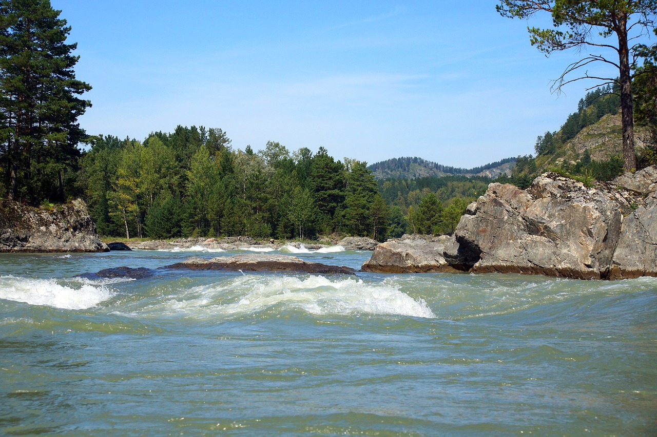 Upė, Vanduo, Gamta, Dangus, Akmenys, Miškas, Greitas Vanduo, Kraštovaizdis, Kalnų Altai, Katun