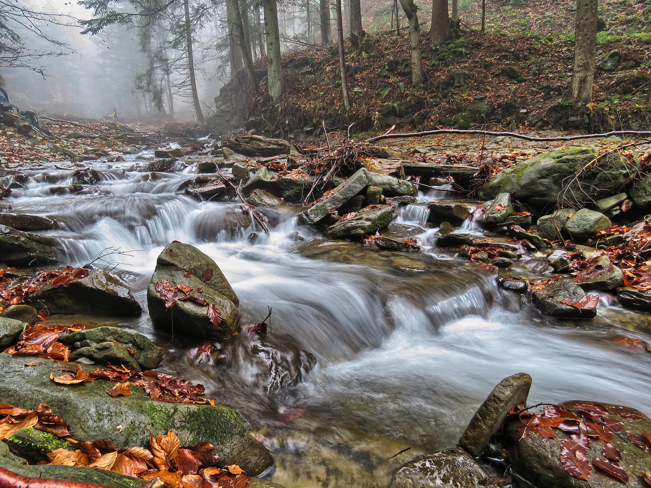 Upė, Vanduo, Kaskados, Srautas, Akmenys, Torrent, Miškas, Ruduo, Kalnai, Lapija