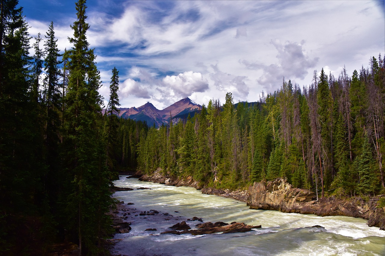 Upė, Dangus, Miškai, Upelis, Kraštovaizdis, Natūralus, Peizažas, Kanada, Nemokamos Nuotraukos,  Nemokama Licenzija