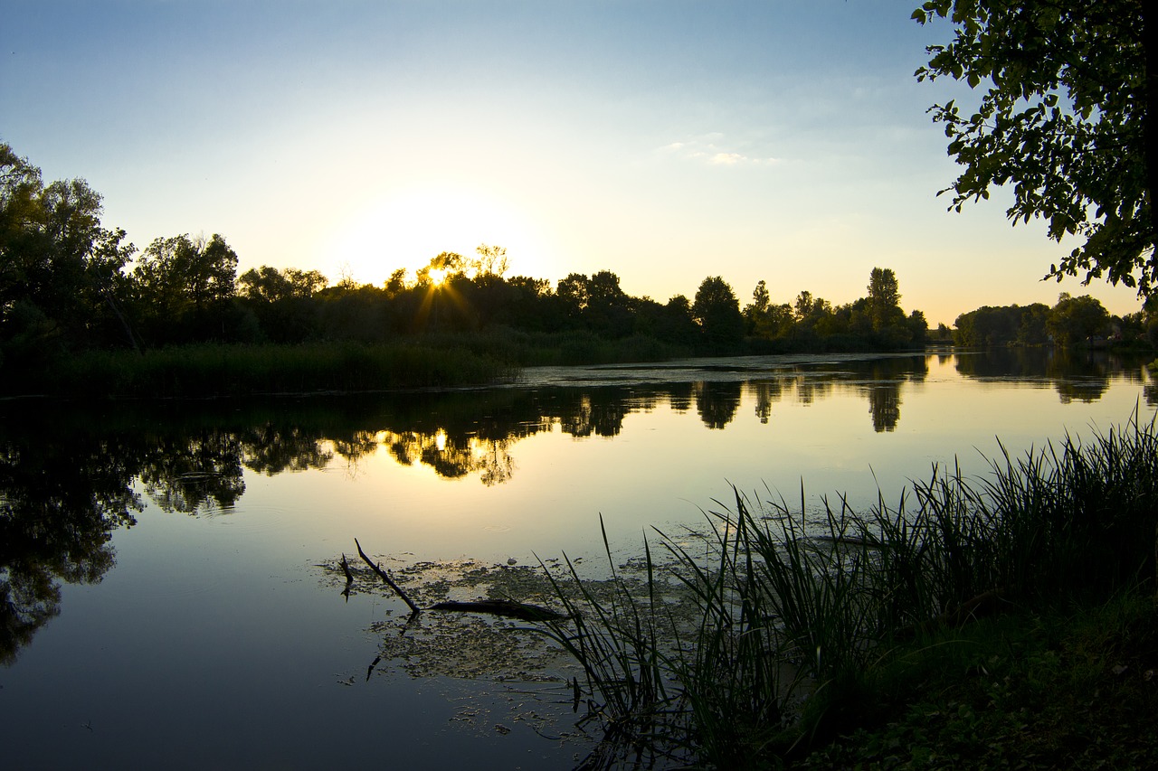 Upė, Vakaras, Twilight, Siluetai, Vanduo, Lygus Paviršius, Atspindys, Žolė, Filialas, Medžiai