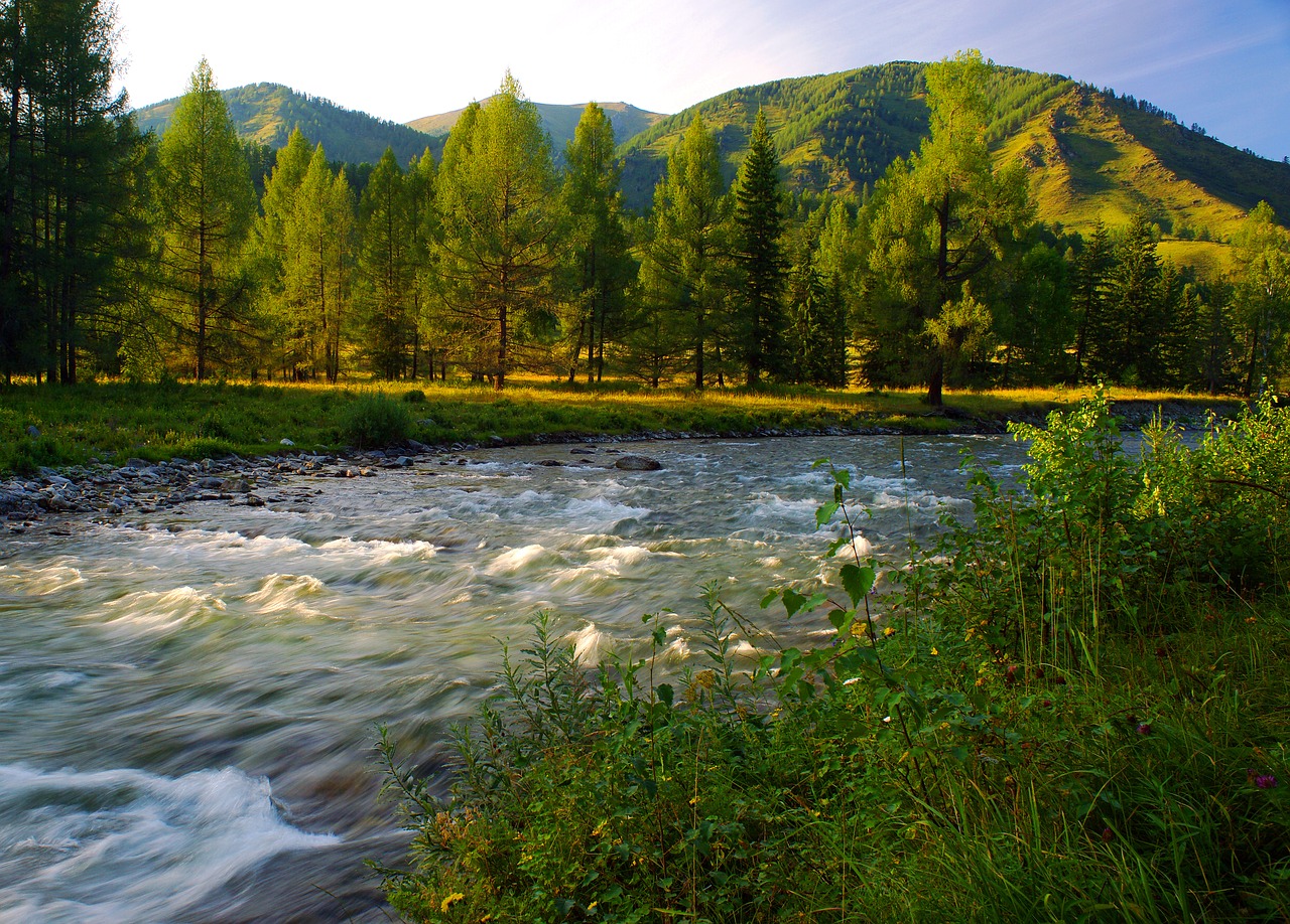 Upė, Vakaras, Kalnų Altai, Kraštovaizdis, Kalnai, Gamta, Dangus, Vasara, Siberija, Žolė