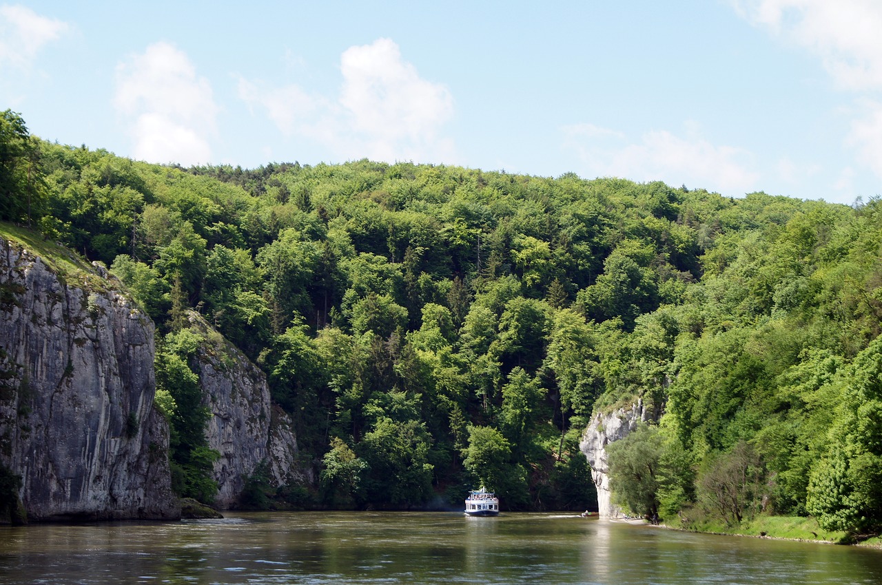 Upė, Gamta, Vanduo, Danube Tarpeklis, Kelheim, Bavarija, Kraštovaizdis, Medžiai, Srautas, Nemokamos Nuotraukos