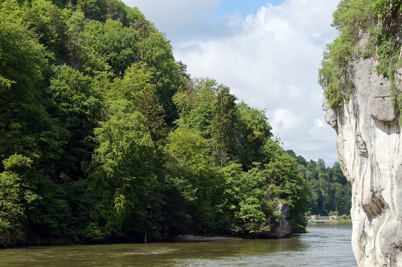 Upė, Kraštovaizdis, Gamta, Danube, Bavarija, Vanduo, Miškas, Rokas, Nemokamos Nuotraukos,  Nemokama Licenzija