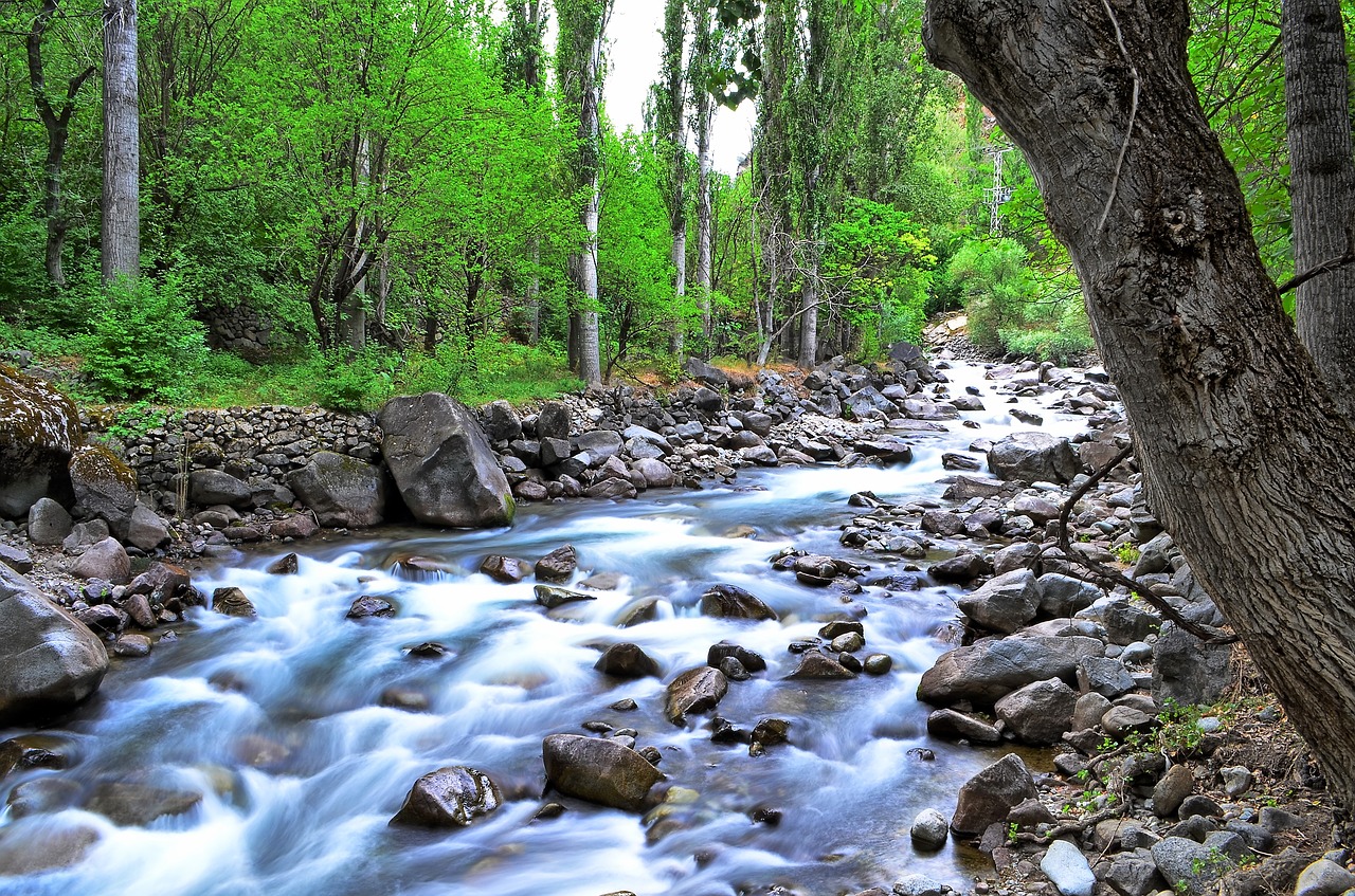 Upė, Kraštovaizdis, Turkija, Gamta, Žalias, Po Atviru Dangumi, Natur, Ispiras, Juodoji Jūra, Coruh Slėnis