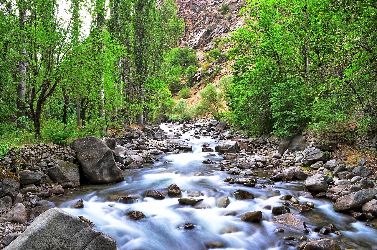 Upė, Kraštovaizdis, Turkija, Gamta, Žalias, Po Atviru Dangumi, Natur, Ispiras, Juodoji Jūra, Coruh Slėnis