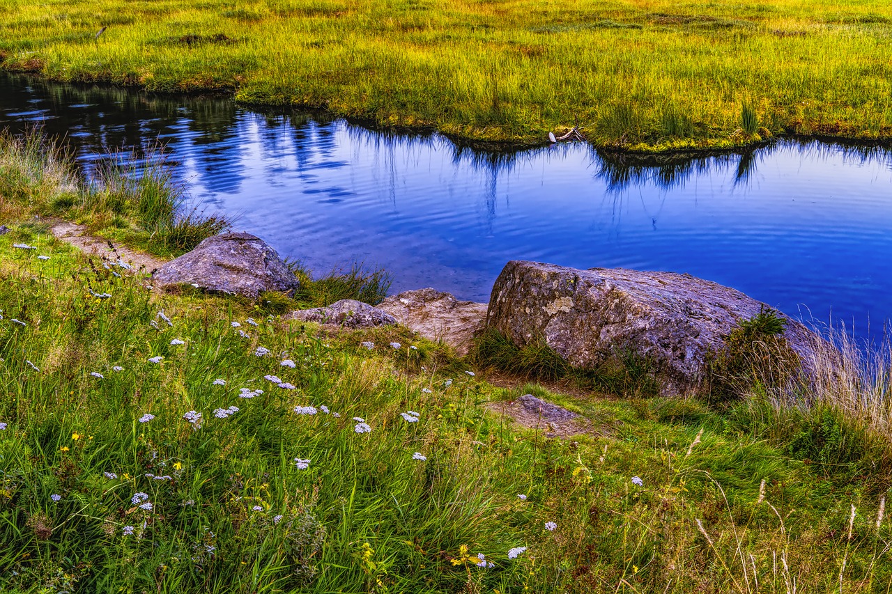 Upė, Ežeras, Tvenkinys, Vanduo, Gamta, Kraštovaizdis, Veidrodis, Vandenys, Abendstimmung, Bankas