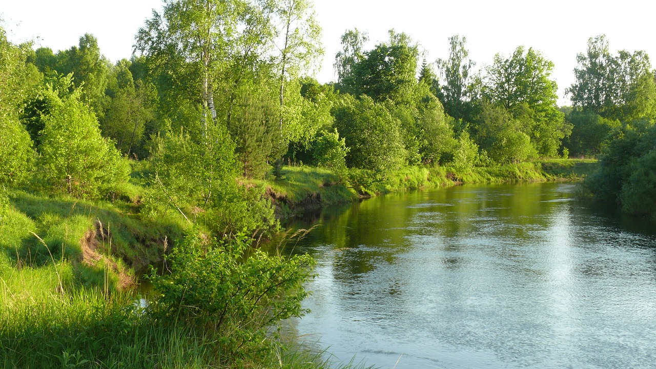 Upė, Miškas, Vanduo, Gamta, Kraštovaizdis, Vasara, Rusija, Medžiai, Žolė, Nemokamos Nuotraukos