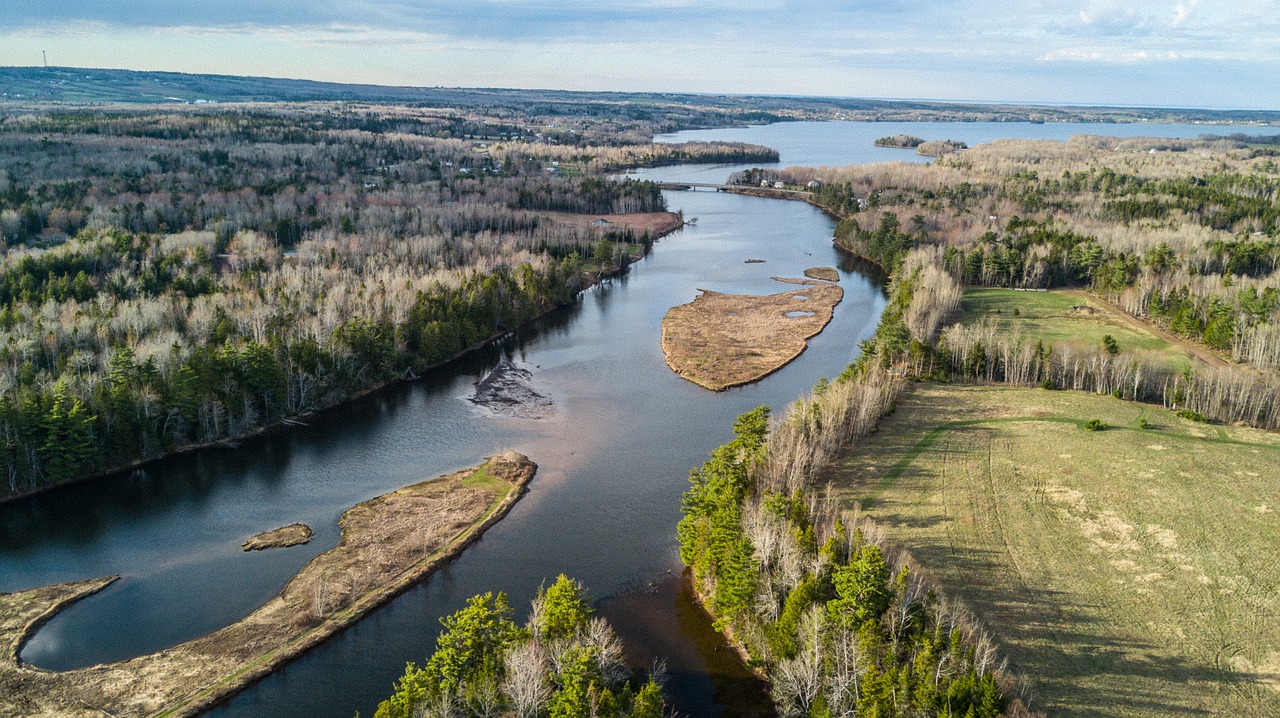 Upė, Uostas, Vandenynas, Forrest, Drone, Uav, Nemokamos Nuotraukos,  Nemokama Licenzija