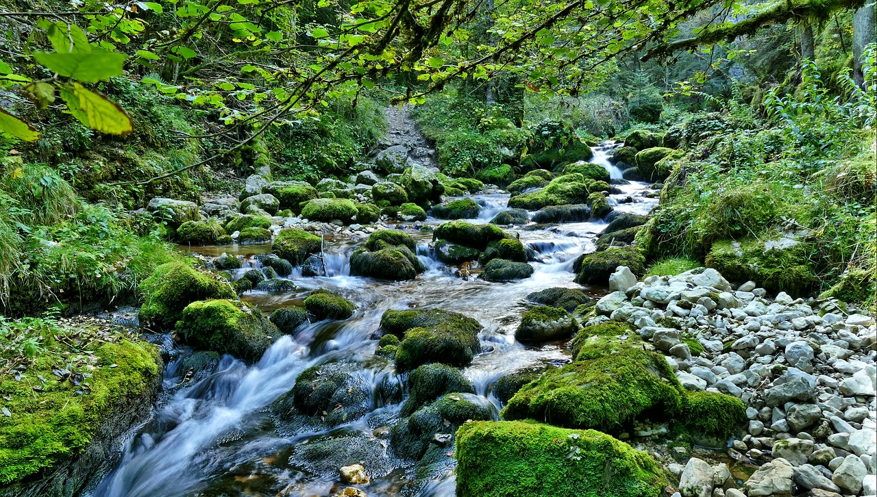 Upė, Torrent, Vanduo, Susukti, Kritimas, Hdr, Gamta, Miškas, Nemokamos Nuotraukos,  Nemokama Licenzija