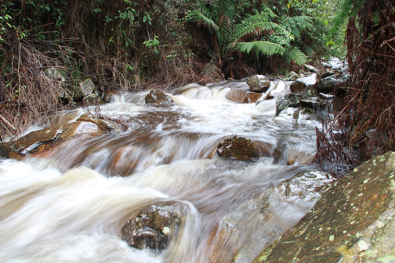 Upė, Gushing, Bėgimas, Srautas, Torrent, Nemokamos Nuotraukos,  Nemokama Licenzija