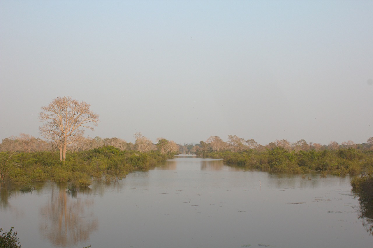 Upė, Srautas, Ežeras, Vanduo, Angkor, Taikus, Ramus, Ramus, Asija, Kambodža
