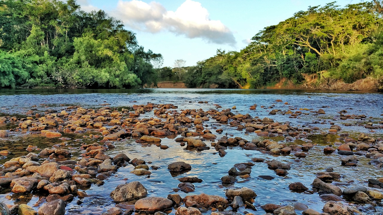 Upė,  Akmenys,  Vandens,  Belize,  Džiunglės,  Tropical,  Mėlyna,  Srautas,  Pobūdį,  Akmuo