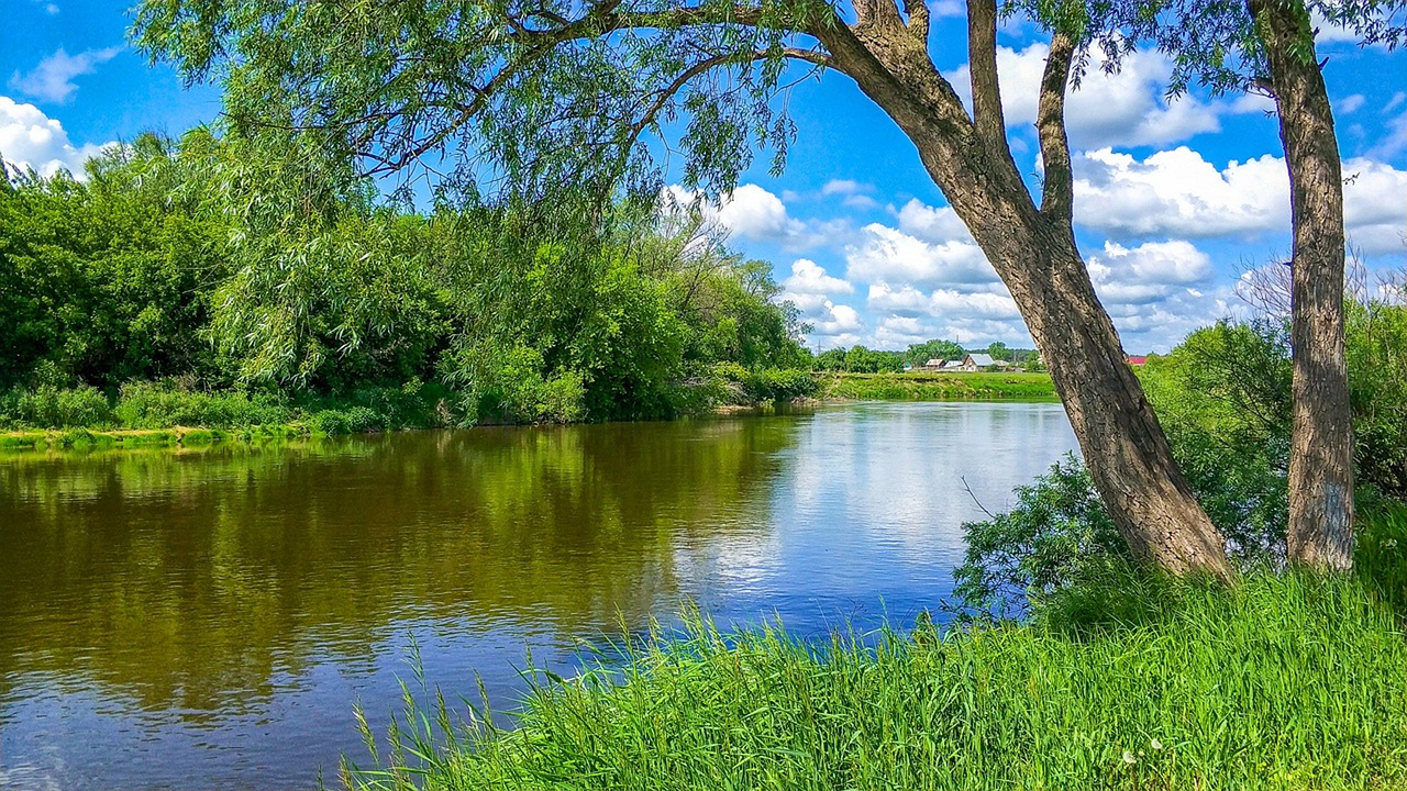 Upė,  Pobūdį,  Upelis,  Žalieji,  Gluosniai,  Medis,  Žolė,  Dangus,  Vasara,  Kaimas