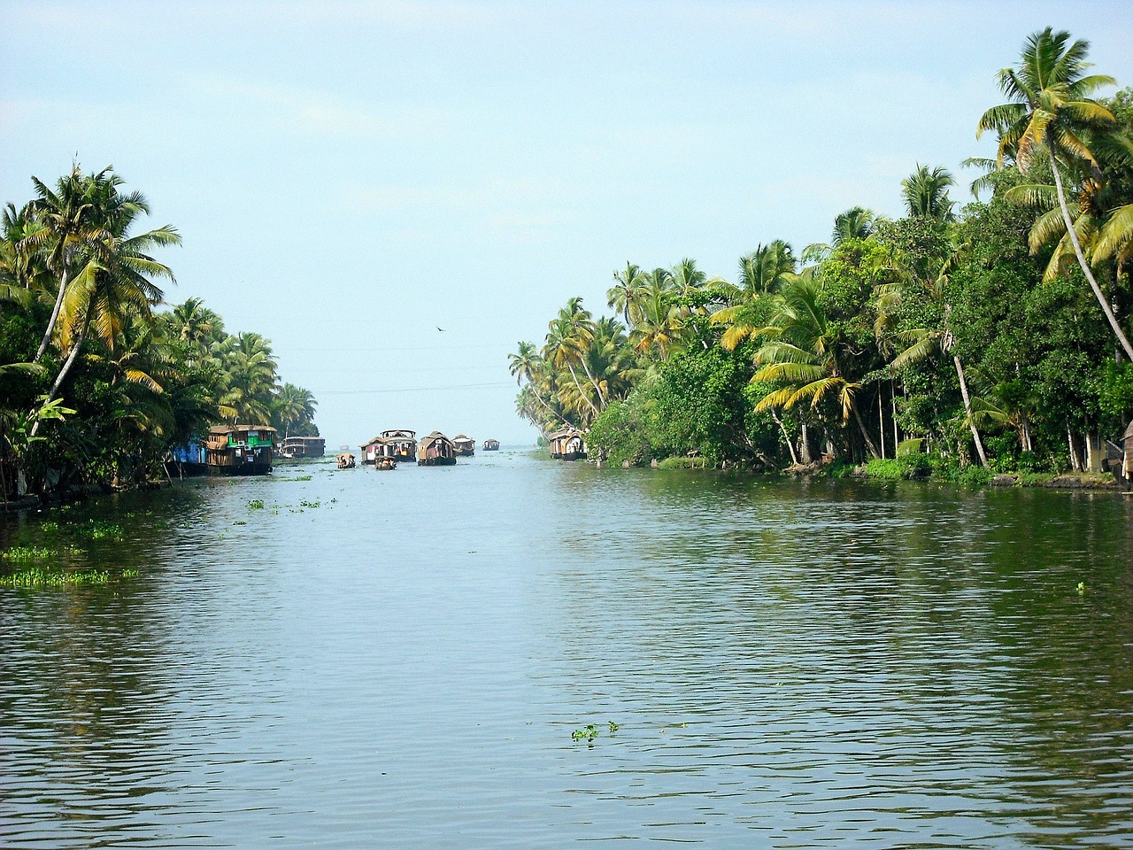 Upė, Nameliai, Valtys, Indija, Kerala, Nemokamos Nuotraukos,  Nemokama Licenzija