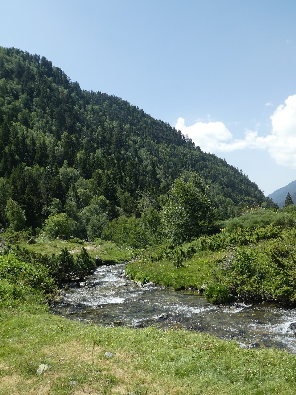 Upė,  Medžiai,  Kalnų,  Andora, Nemokamos Nuotraukos,  Nemokama Licenzija