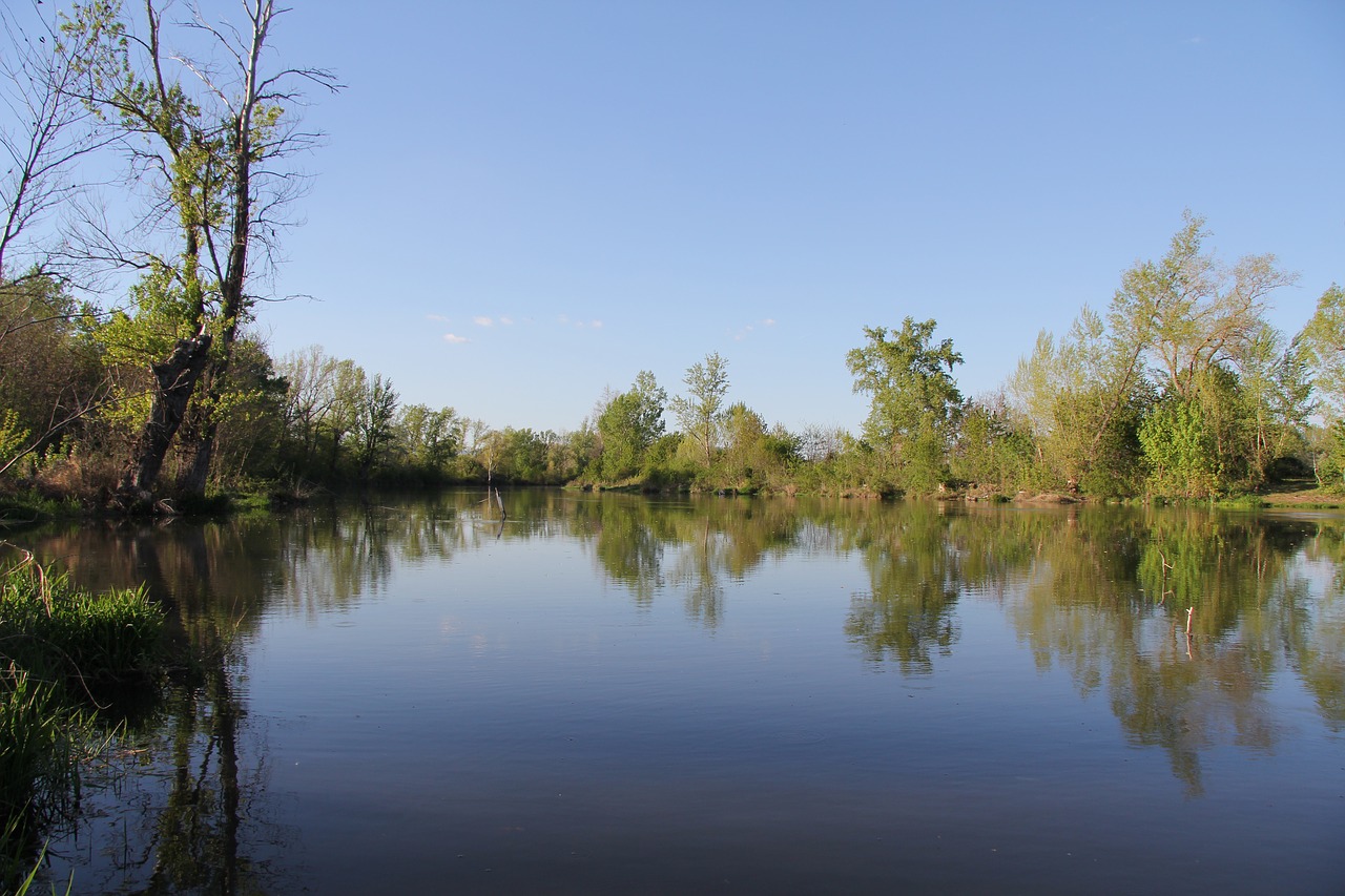 , Nemokamos Nuotraukos,  Nemokama Licenzija