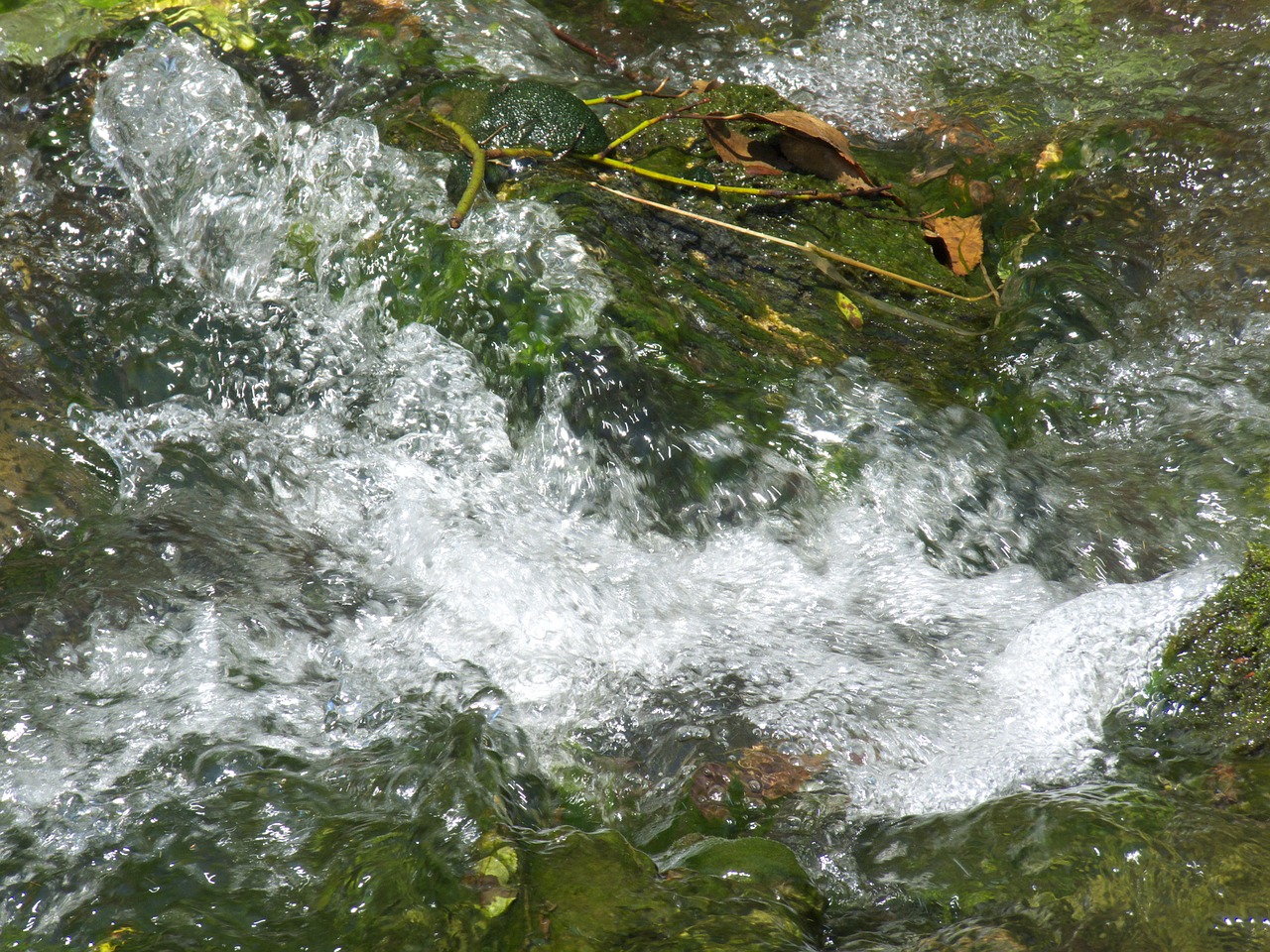 Upė, Siauras, Vanduo, Jūra, Ežeras, Gėlo Vandens, Gamta, Aqua, Nemokamos Nuotraukos,  Nemokama Licenzija