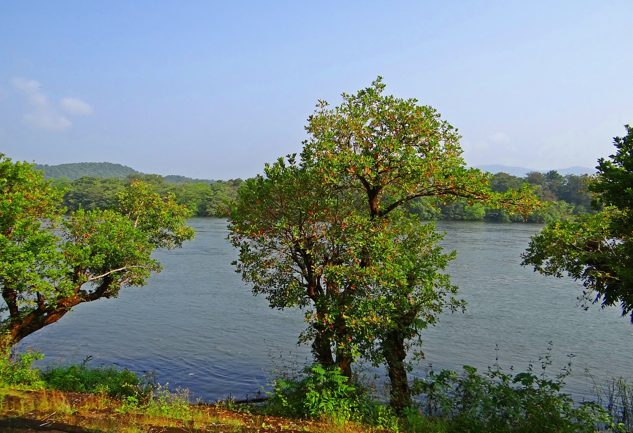 Upė, Kalis, Kalnai, Vakarų Gatas, Miškai, Vaizdingas, Kaiga, Karnataka, Indija, Nemokamos Nuotraukos