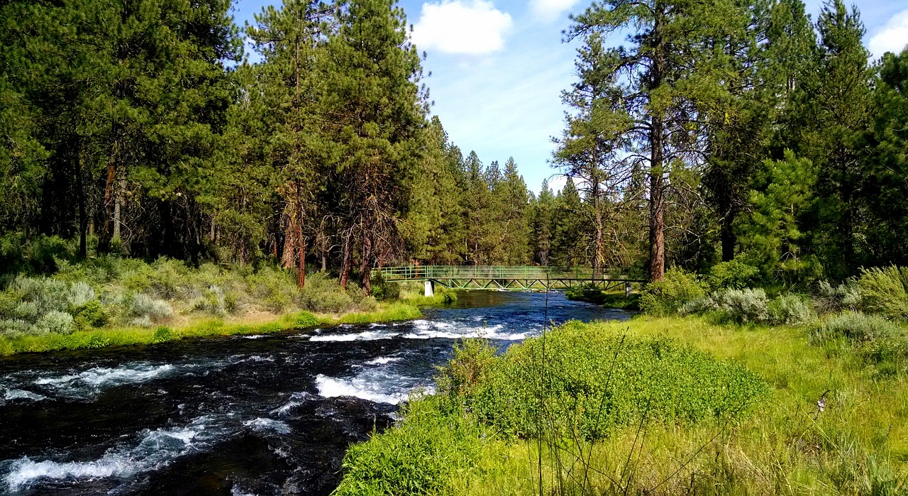 Upė, Collier Parkas, Oregonas, Medžiai, Žalias, Gamta, Nemokamos Nuotraukos,  Nemokama Licenzija