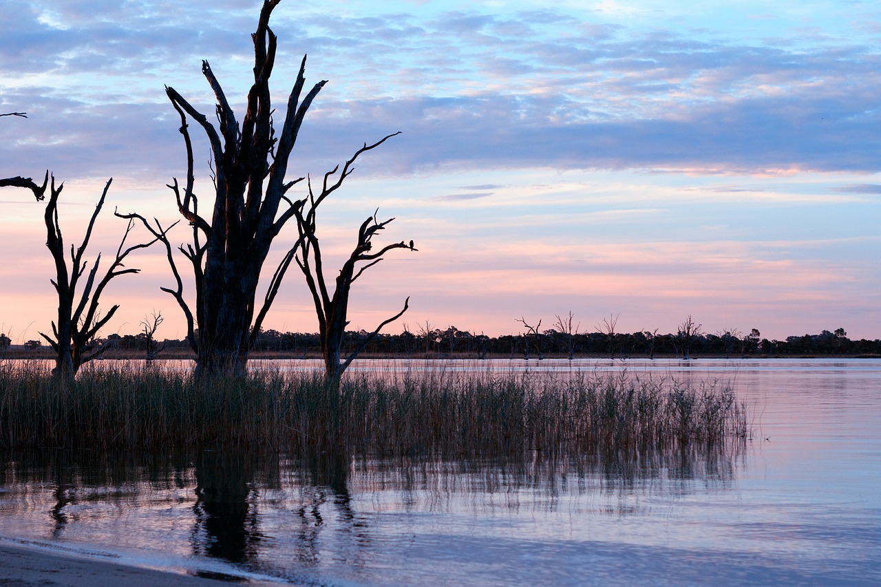 Upė, Australia, Vaizdingas, Vakaras, Vanduo, Atsipalaiduoti, Saulėlydis, Dusk, Atsipalaidavimas, Siluetas